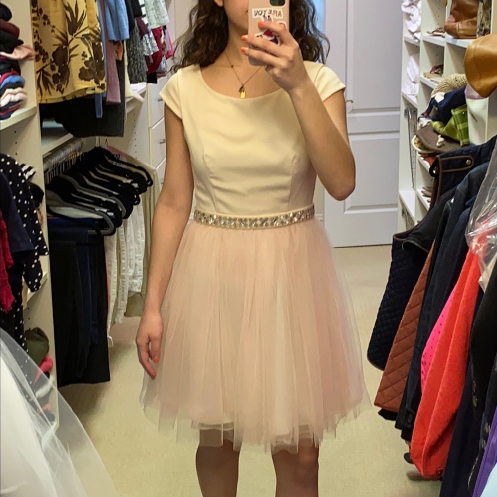 Elegant pink and gold mesh dress